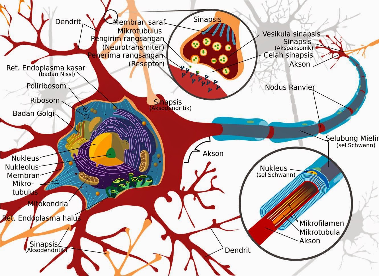 Images for vivix atasi kerosakan sel badan Vivix Halang Kerosakan Sel Akibat Radikal Bebas BAGAIMANA VIVIX BERTINDAK MEMPERBAIKI MUTU KESIHATAN Bagaimana Vivix Bantu Atasi Pelbagai Penyakit Akibat Penuaan Sel? Ketahui Bagaimana Vivix Atasi Kanser Dengan Terperinci   Manfaat Vivix dalam Memelihara Sel Badan Kita Untuk Elak Sel Rosak Atasi Masalah Kulit Rosak Dengan Vivix    Testimoni, Testimoni Vivix, Vivix shaklee, Pengedar Shaklee Johor, Pengedar Vivix Johor, Pengedar Vivix Shaklee, vivix shaklee reviews shaklee vivix side effects vivix shaklee harga 2016 vivix shaklee price vivix shaklee testimonials vivix shaklee cancer vivix shaklee ingredients shaklee vivix malaysia shaklee vivix side effects vivix shaklee cara makan vivix untuk sakit buah pinggang ubat buah pinggang paling mujarab makanan untuk pesakit buah pinggang cara mencegah sakit buah pinggang buah pinggang rosak penawar sakit pinggang daun sup cuci buah pinggang tanda sakit buah pinggang tahap 4 ubat sakit pinggang yang mujarab does shaklee vivix work vivix shaklee cara makan shaklee vivix cancer shaklee vivix ingredients shaklee vivix benefits shaklee vivix review shaklee vivix price shaklee vivix testimonials Images for shaklee vivix cancer shaklee cancer testimonials shaklee cancer treatment nutriferon and cancer nutriferon negative side effects shaklee nutriferon side effects does shaklee vivix work shaklee vivix side effects shaklee vivix testimonials vitalea for children  Makanan Kesihatan Shaklee Untuk Kanak-Kanak, Multivitamin Kana-kanak, Product, Produk, Produk Label, Vita-Lea For Children, Vita-Lea For Kids, Pengedar shaklee johor, pengedar vivix johor pengedar shaklee pengerang pengedar vivix shaklee Testimoni, Testimoni Vivix, Vivix shaklee, Pengedar Shaklee Johor, Pengedar Vivix Johor, Pengedar Vivix Shaklee, vivix shaklee reviews shaklee vivix side effects vivix shaklee harga 2016 vivix shaklee price vivix shaklee testimonials vivix shaklee cancer vivix shaklee ingredients shaklee vivix malaysia shaklee vivix side effects vivix shaklee cara makan vivix untuk sakit buah pinggang ubat buah pinggang paling mujarab makanan untuk pesakit buah pinggang cara mencegah sakit buah pinggang buah pinggang rosak penawar sakit pinggang daun sup cuci buah pinggang tanda sakit buah pinggang tahap 4 ubat sakit pinggang yang mujarab does shaklee vivix work vivix shaklee cara makan shaklee vivix cancer shaklee vivix ingredients shaklee vivix benefits shaklee vivix review shaklee vivix price shaklee vivix testimonials Images for shaklee vivix cancer shaklee cancer testimonials shaklee cancer treatment nutriferon and cancer nutriferon negative side effects shaklee nutriferon side effects does shaklee vivix work shaklee vivix side effects shaklee vivix testimonials vitalea for children