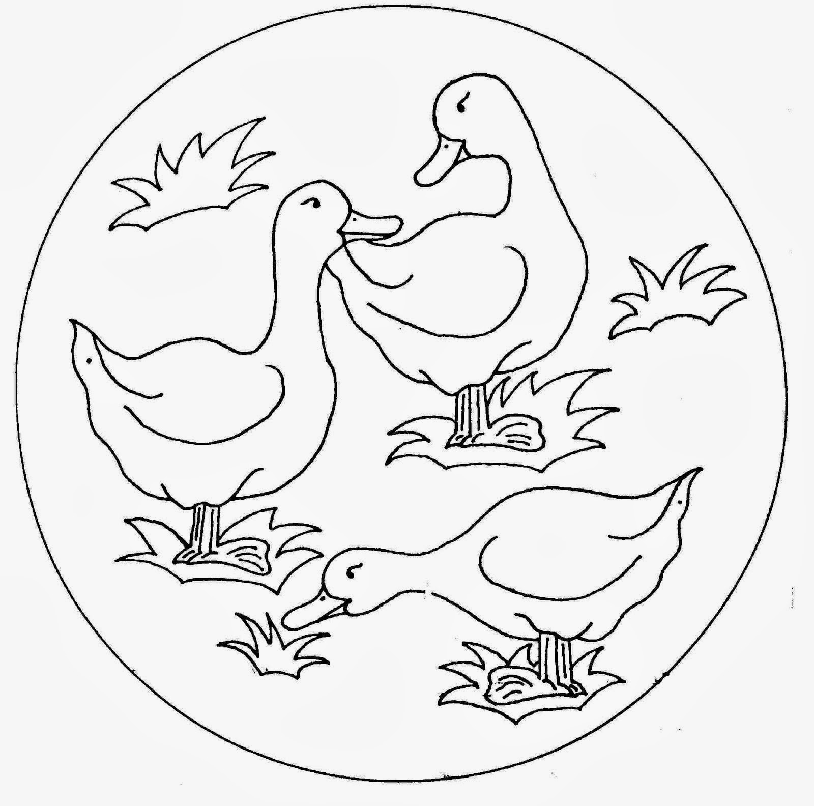 bm image