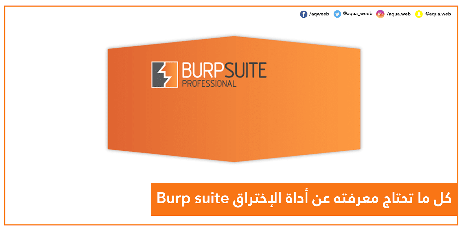 كل ما تحتاج معرفته عن أداة الإختراق Burp suite