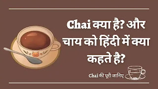 चाय क्या होती है?,चाय को हिंदी में क्या कहते हैं? Chai ko hindi mein kya kahate hain 2023,चाय पीने के क्या फायदे और नुकसान है, भारत में चाय क्यों ज्यादा की जाती है?,चाय का इतिहास क्या है?
