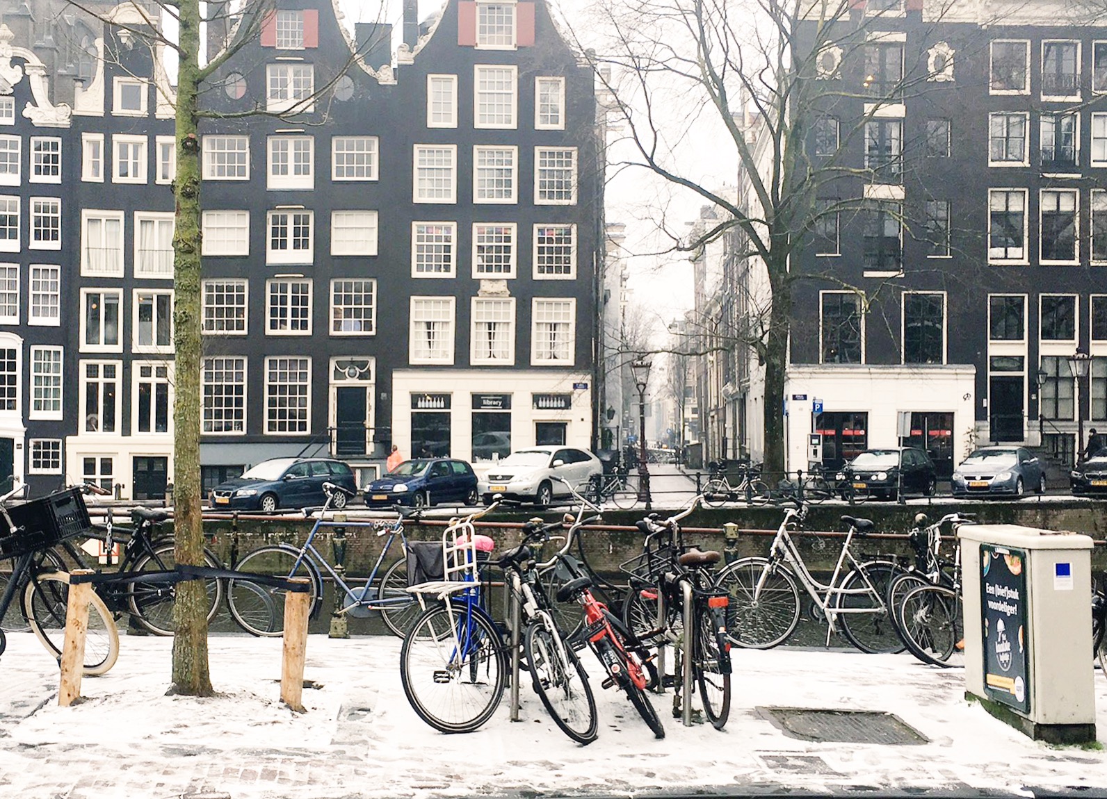 11 Things to do in Amsterdam