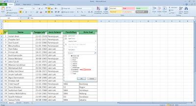 memfilter data di excel