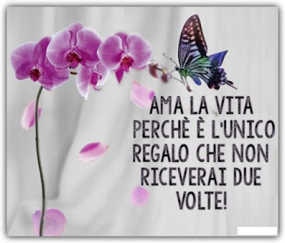 Frasi umoristiche sulla vita quotidiana