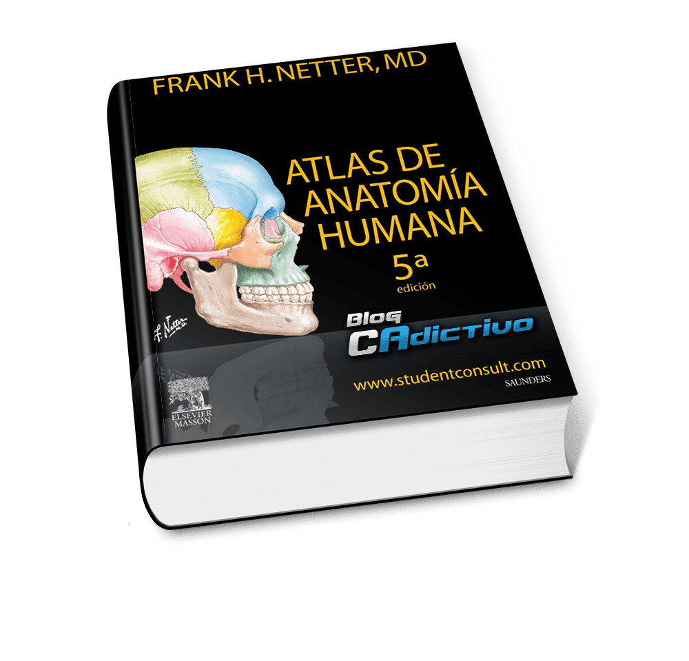 Atlas de Anatomia Humana  • 5a edición [Ilustrado]• Frank H. Netter 