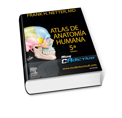 Atlas de Anatomia Humana  • 5a edición • Frank H. Netter [Ilustrado]