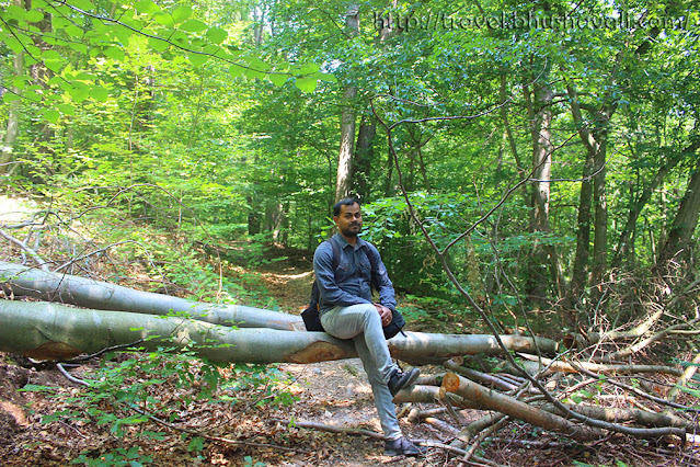 Hiking with kids in Spa, Wallonia, Belgium