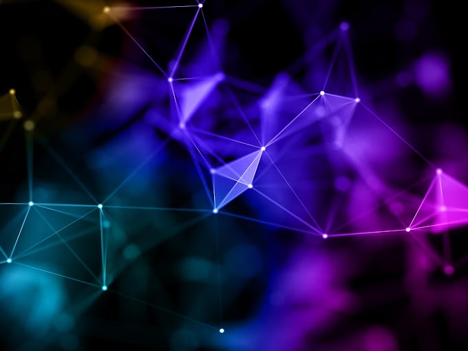 Web3 and ICO Hype: November 2024 Snapshot