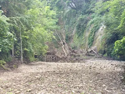 清和県民の森キャンプ場