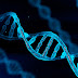 Καρκίνος: Τεράστια έρευνα αποκάλυψε νέα μοτίβα στο DNA της ασθένειας!