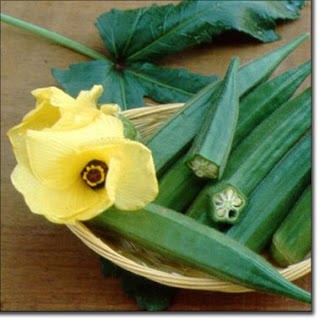 Okra