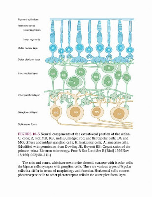 Ganong's Review of Medical Physiology 26th Edition