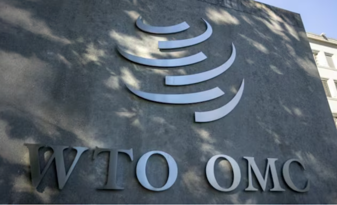 In response to US auto tariffs, India suggests retaliatory penalties at a global trade organization