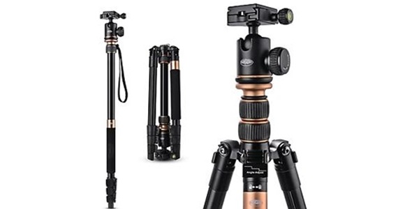 Rangers 57” Ultra Compact and Lightweight Aluminum Tripod