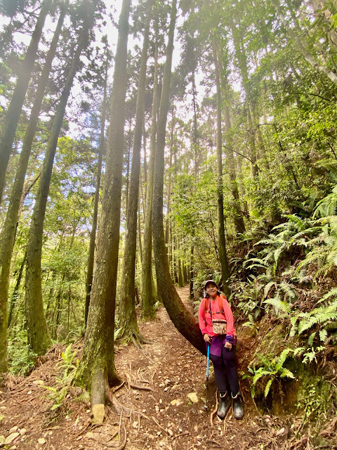 橫嶺山步道