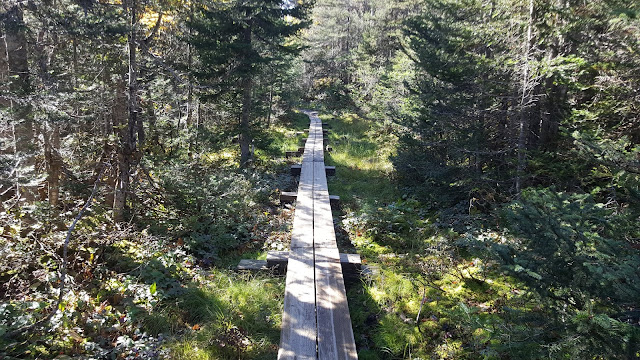 Sentier Pic du Brûlé