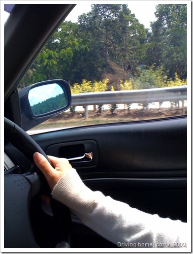 drivinghome2
