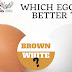 Brown Egg vs White Egg : Which one is better ?