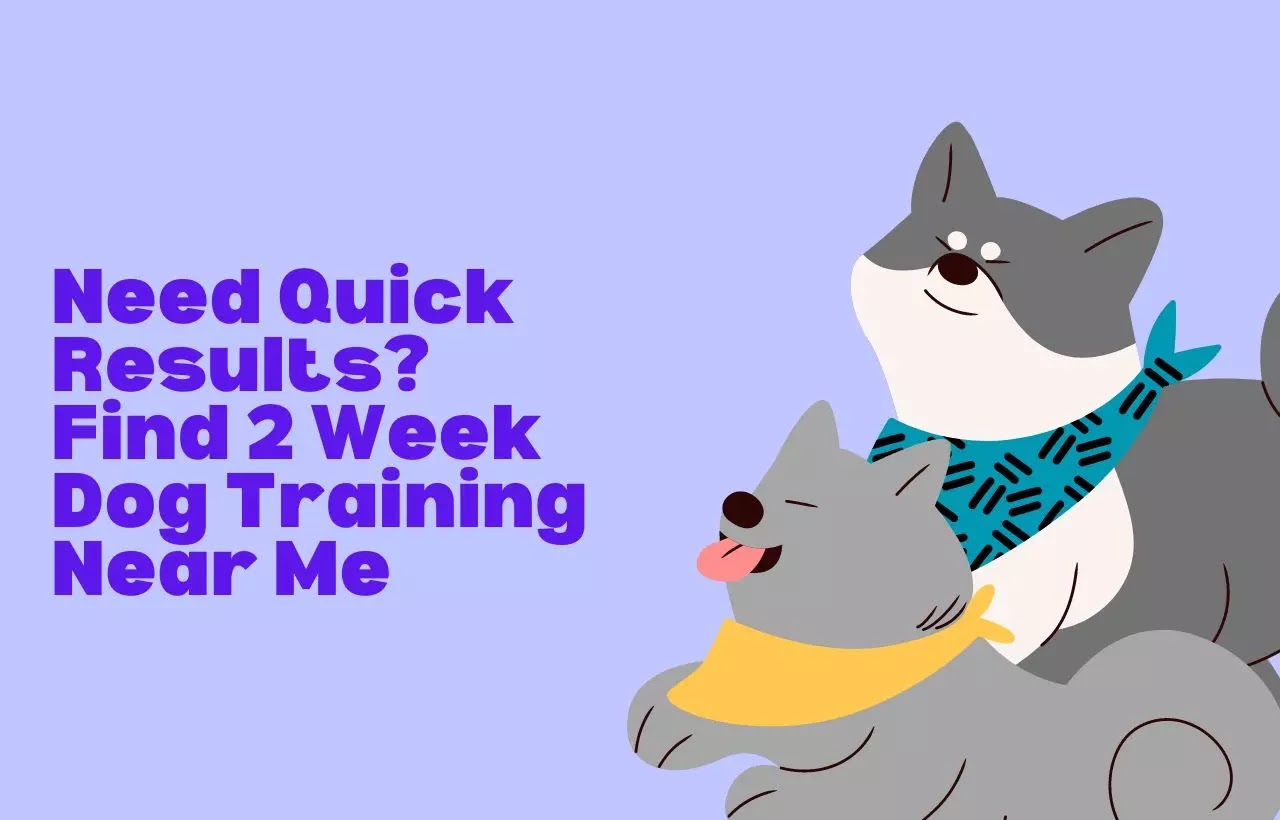 2 Week Dog Training Near Me