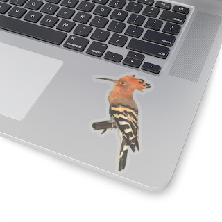 Hoopoe, Bird, Stickers,