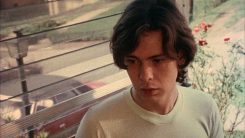 Martin 1977 latino dvdrip