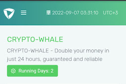 Crypto whale Reviews: The New Dubai Admin Doubler Site. Find out!