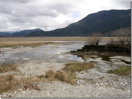 log bay