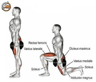 The Best Exercises to Have Powerful and Muscular Legs