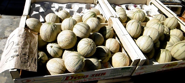 Charentais melon. Indre et Loire. France. Photo by Loire Valley Time Travel.