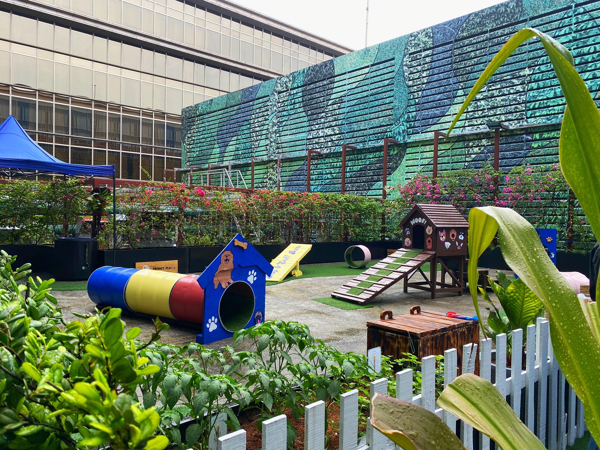 hilton manila kabang outdoor dog park pasay