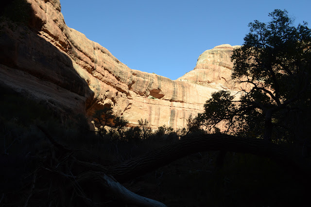 natural arch of a very strudy build