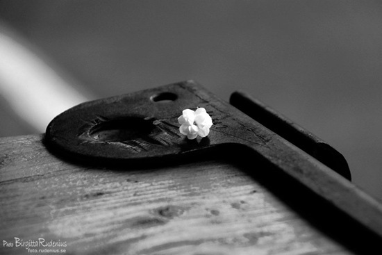 bw_20111011_gultfilter