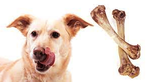 los perros pueden comer huesos de pollo
