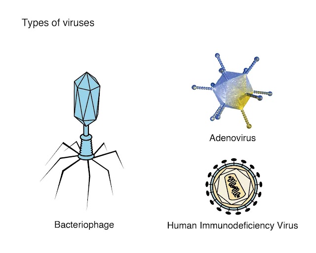 VIRUS.