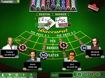 Hoyle Casino Games 2012 PC Game (3)