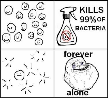 bacteria are related to