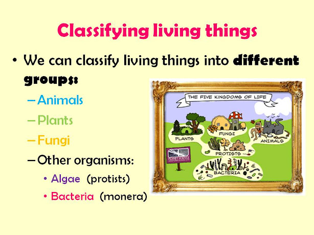 MY ENGLISH AND SCIENCE : KINGDOMS:CLASSIFICATION OF LIVING THINGS