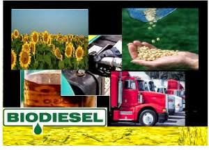 Bluefire Renewables Signs 15 Year Feedstock Supply Contract For Cellulosic Ethanol Plant