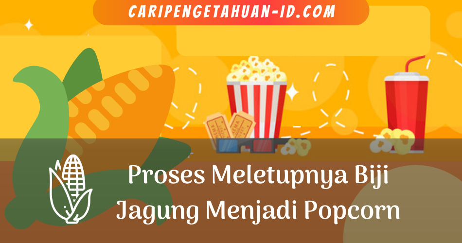 proses terjadinya letupan pada biji jagung saat membuat popcorn