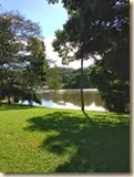 IMG_1570