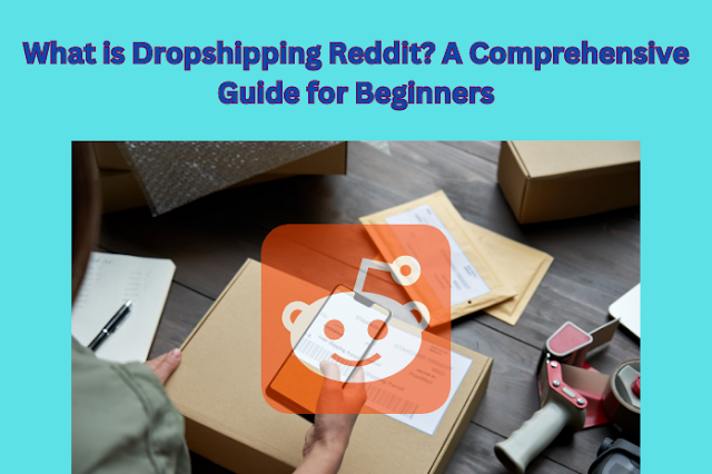 What is Dropshipping Reddit
