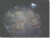 clip_image020