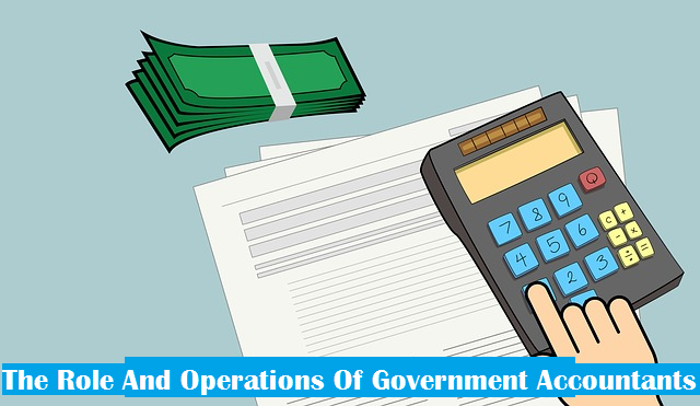 The Role And Operations Of Government Accountants