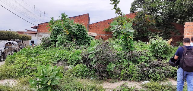 Corpo de homem é encontrado em estado de decomposição em terreno no bairro João XXIII