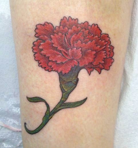 In culture of new time the carnation tattoo was considered as fire flower 