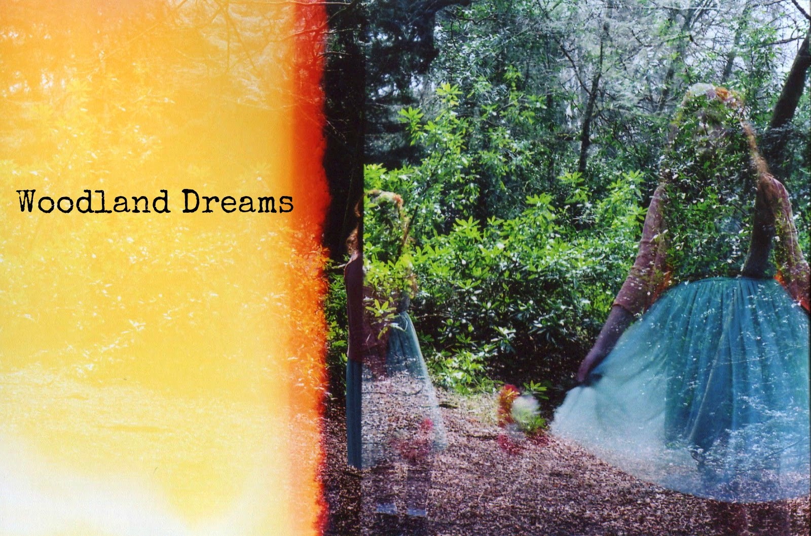 http://talesonfilm.blogspot.co.uk/2014/04/woodland-dreams.html