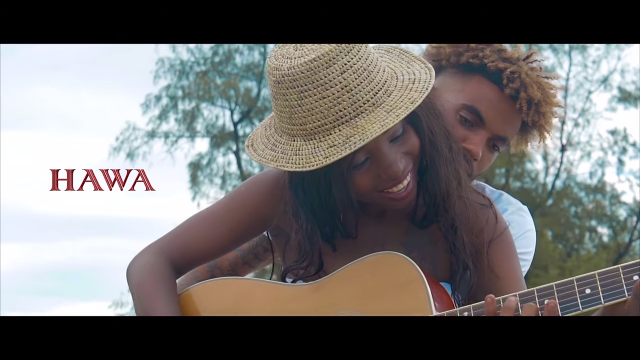 VIDEO | Hawa Ntarejea - NAELEWA | Mp4 Download 