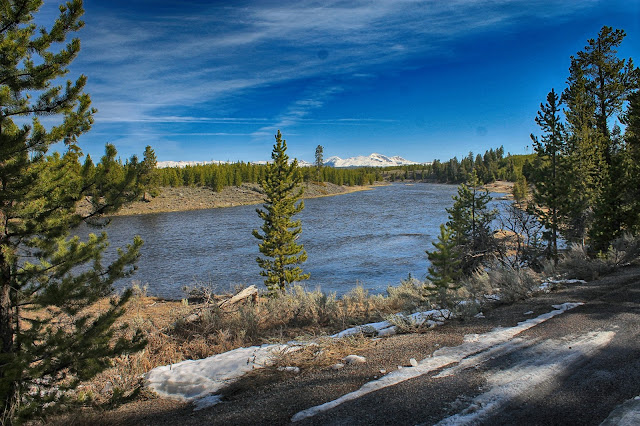 Yellowstone National Park Wyoming Idaho Montana geology travel field trip bison buffalo elk river old faithful geyser copyright RocDocTravel.com