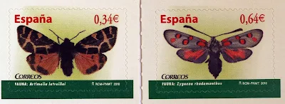 MARIPOSAS - (ARTIMELIA Y ZYGANEA)