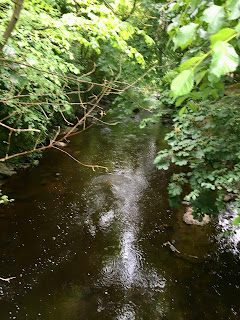 The Water of Leith with trees either side.