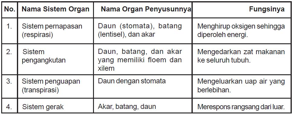 Pengertian Sistem Organ dan  Macam macam Sistem Organ pada 